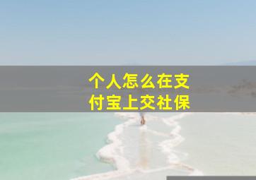 个人怎么在支付宝上交社保