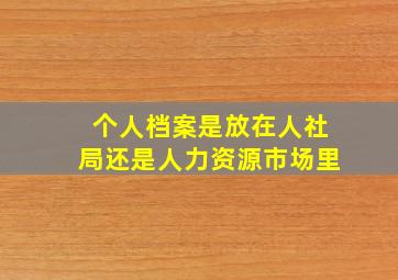 个人档案是放在人社局还是人力资源市场里