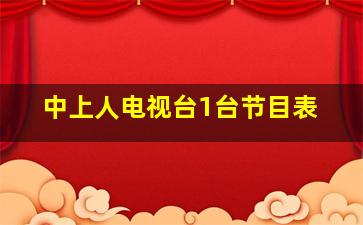 中上人电视台1台节目表