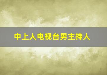 中上人电视台男主持人