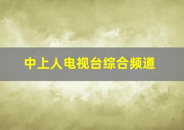 中上人电视台综合频道