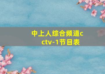 中上人综合频道cctv-1节目表