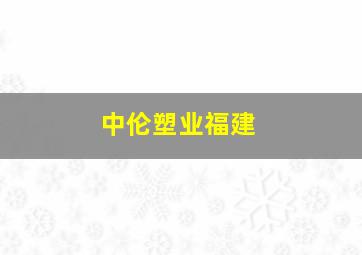 中伦塑业福建