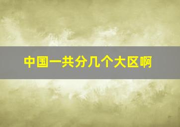 中国一共分几个大区啊