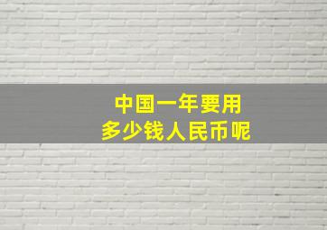 中国一年要用多少钱人民币呢