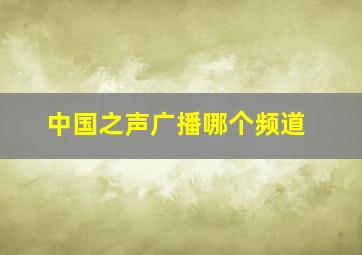 中国之声广播哪个频道