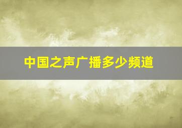 中国之声广播多少频道