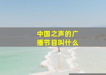 中国之声的广播节目叫什么