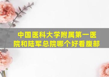 中国医科大学附属第一医院和陆军总院哪个好看腹部