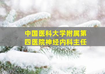 中国医科大学附属第四医院神经内科主任