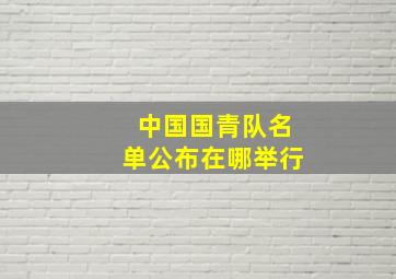 中国国青队名单公布在哪举行