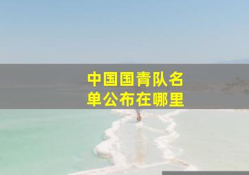 中国国青队名单公布在哪里