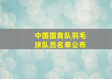 中国国青队羽毛球队员名单公布