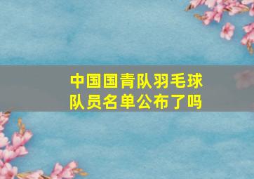 中国国青队羽毛球队员名单公布了吗