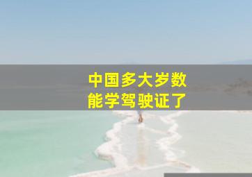 中国多大岁数能学驾驶证了