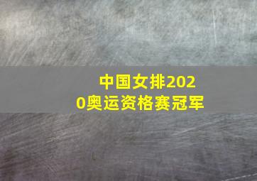 中国女排2020奥运资格赛冠军