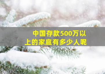 中国存款500万以上的家庭有多少人呢