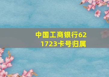 中国工商银行621723卡号归属