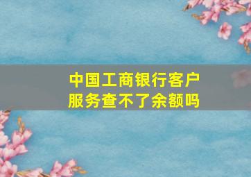 中国工商银行客户服务查不了余额吗