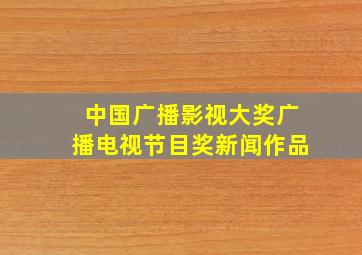 中国广播影视大奖广播电视节目奖新闻作品