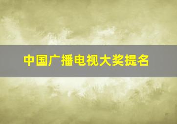 中国广播电视大奖提名