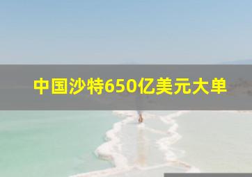 中国沙特650亿美元大单