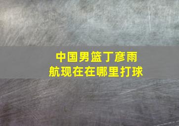 中国男篮丁彦雨航现在在哪里打球