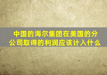 中国的海尔集团在美国的分公司取得的利润应该计入什么