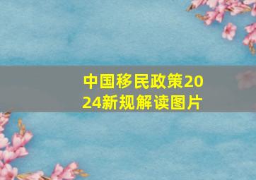 中国移民政策2024新规解读图片