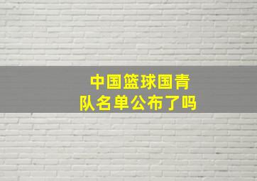 中国篮球国青队名单公布了吗