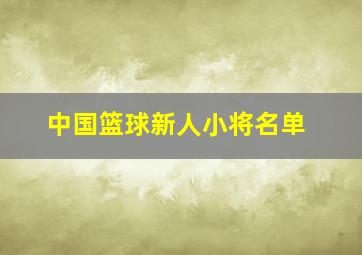 中国篮球新人小将名单