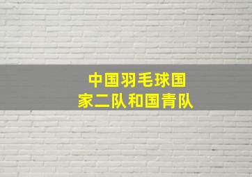 中国羽毛球国家二队和国青队