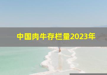 中国肉牛存栏量2023年