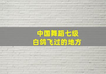 中国舞蹈七级白鸽飞过的地方