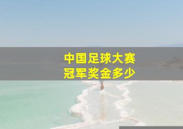 中国足球大赛冠军奖金多少