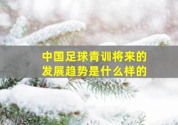 中国足球青训将来的发展趋势是什么样的