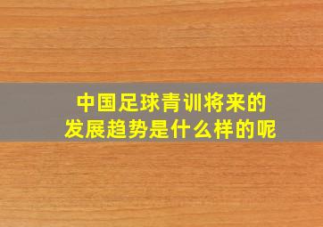 中国足球青训将来的发展趋势是什么样的呢