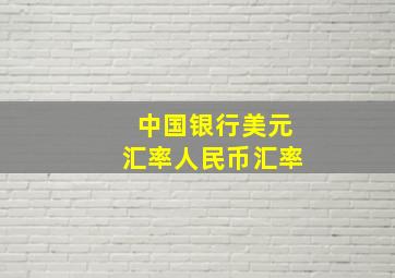 中国银行美元汇率人民币汇率