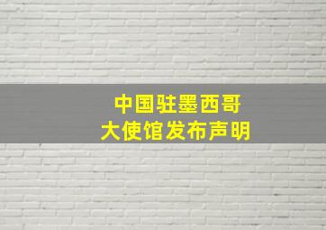 中国驻墨西哥大使馆发布声明