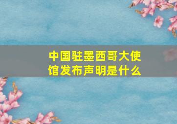 中国驻墨西哥大使馆发布声明是什么