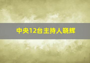 中央12台主持人晓辉