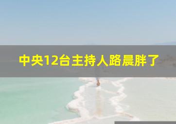 中央12台主持人路晨胖了