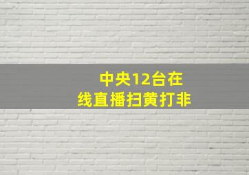 中央12台在线直播扫黄打非