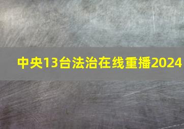 中央13台法治在线重播2024