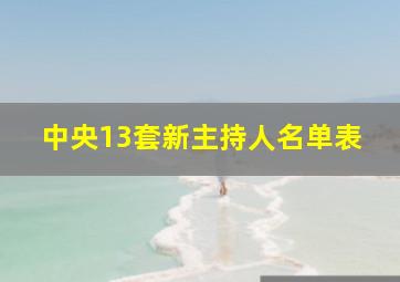 中央13套新主持人名单表