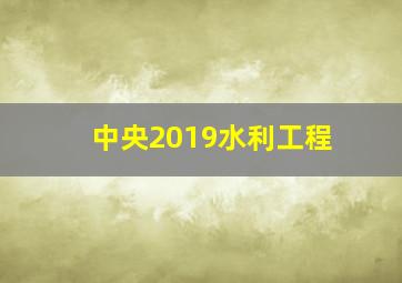 中央2019水利工程