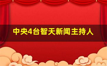 中央4台智天新闻主持人