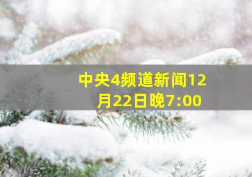 中央4频道新闻12月22日晚7:00