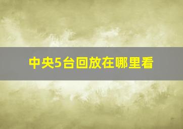 中央5台回放在哪里看