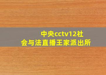 中央cctv12社会与法直播王家派出所